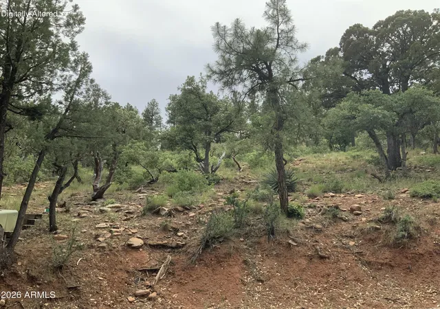 Homes for sale in Pine, AZ | 161 N Portal Dr #161, Pine, AZ 85544 | MLS# 7032737