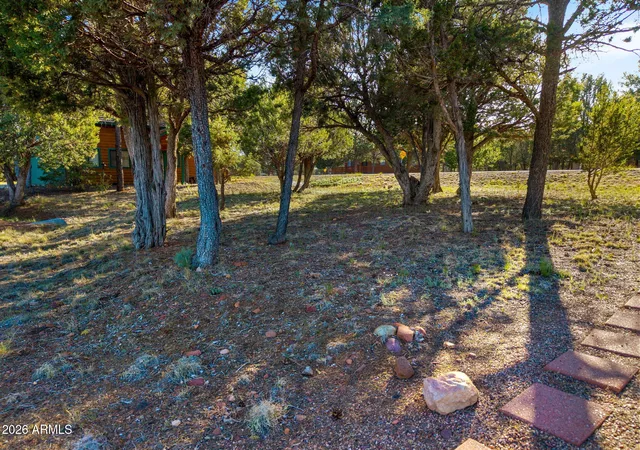 Homes for sale in Overgaard, AZ | 2824 Constellation Ln #18-12&13, Overgaard, AZ 85933 | MLS# 7019872