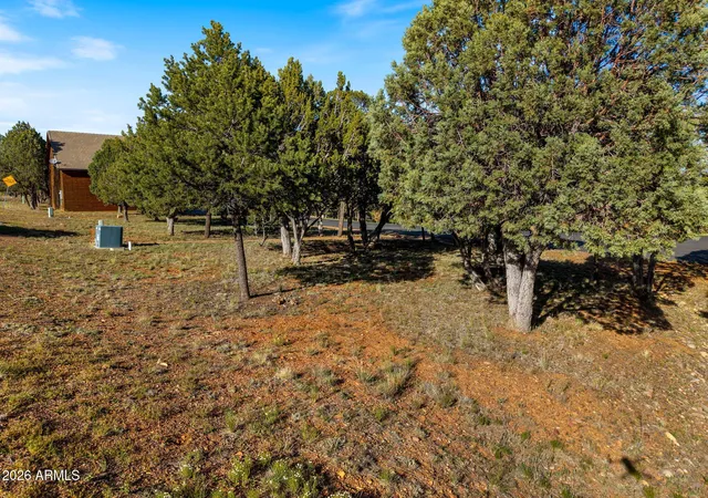 Homes for sale in Overgaard, AZ | 2824 Constellation Ln #18-12&13, Overgaard, AZ 85933 | MLS# 7019872