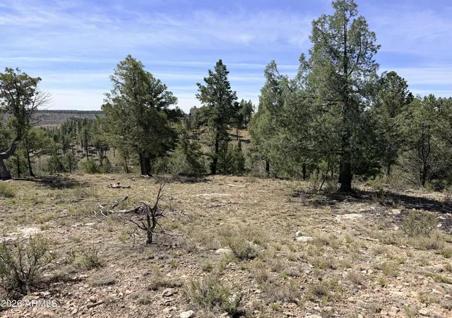 3rd image of 5088 Morning View Dr #6, Happy Jack, AZ 86024 | MLS# 7020591