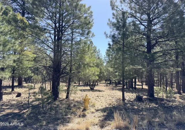Homes for sale in Happy Jack, AZ | 1755 Sugar Pine Dr #232, Happy Jack, AZ 86024 | MLS# 7020602