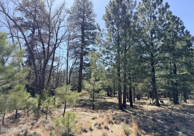Homes for sale in Happy Jack, AZ | 1755 Sugar Pine Dr #232, Happy Jack, AZ 86024 | MLS# 7020602