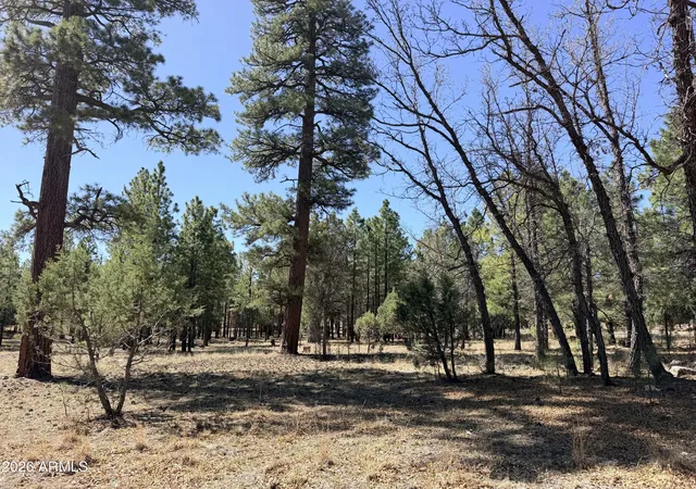 Homes for sale in Happy Jack, AZ | 1755 Sugar Pine Dr #232, Happy Jack, AZ 86024 | MLS# 7020602
