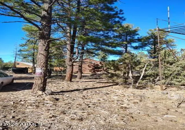5th image of 3 County Road N3302 Road, Vernon, AZ 85940 | MLS# 7021393