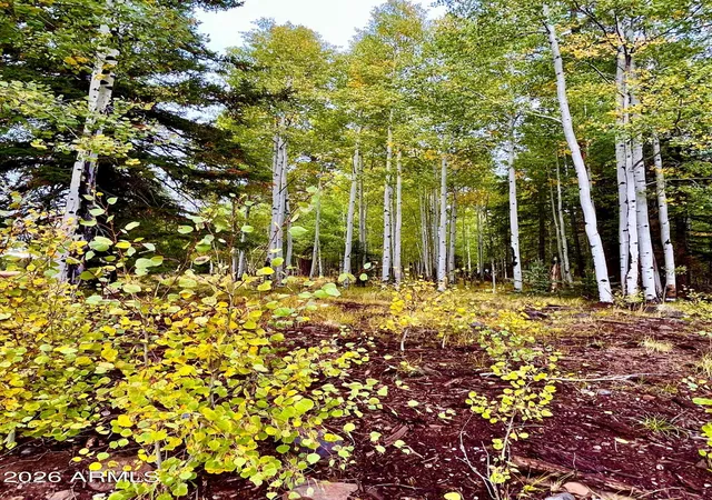 59th image of 5271 Bridle Trail Cir, Pinetop, AZ 85935 | MLS# 7023386