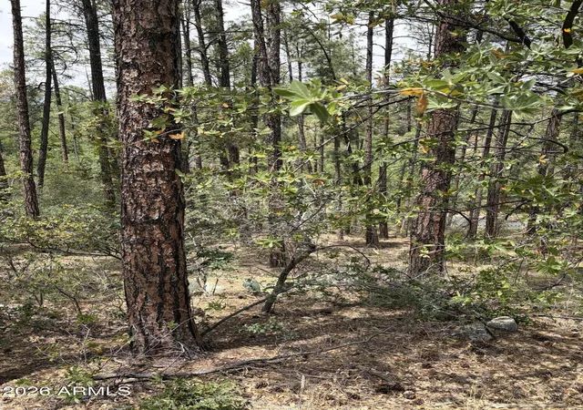 Photo 3 of Land for sale at 0 W Zuni Dr #11,12, Prescott, AZ 86303 | MLS# 7033855 | Listing updated on 2026-05-27