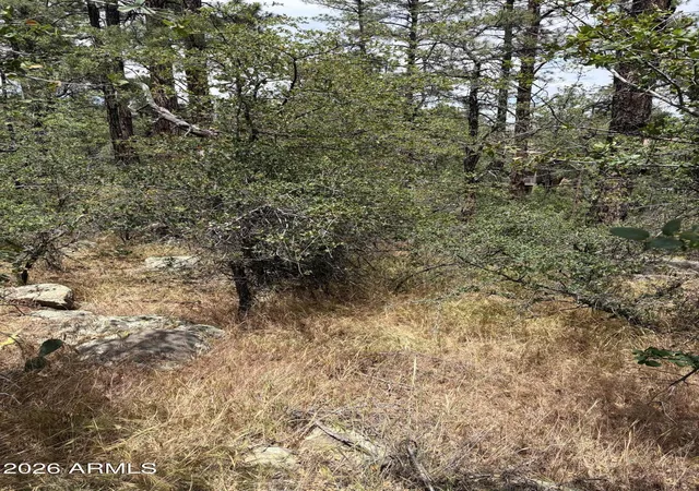 Photo 4 of Land for sale at 0 W Zuni Dr #11,12, Prescott, AZ 86303 | MLS# 7033855 | Listing updated on 2026-05-27