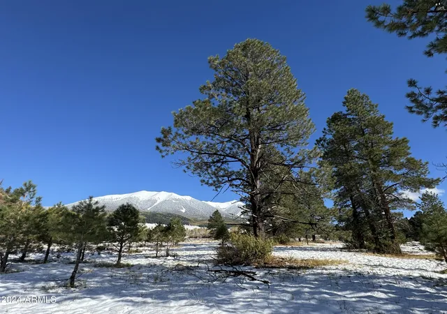 Photo 4 of Land for sale at 001 Hart Praire Rd #1, Flagstaff, AZ 86001 | MLS# 7022418 | Listing updated on 2026-05-12
