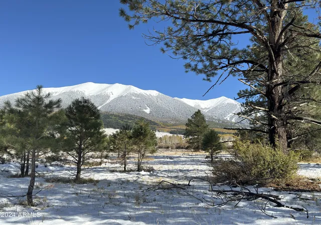 15th image of 002 Hart Prairie Rd, Flagstaff, AZ 86001 | MLS# 7022420
