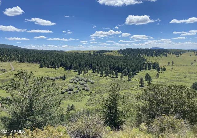 3rd image of 002 Hart Prairie Rd --, Flagstaff, AZ 86001 | MLS# 7022420
