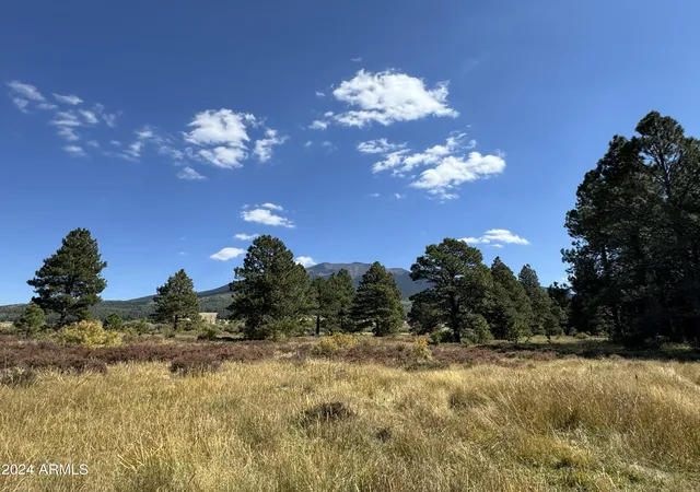 4th image of 002 Hart Prairie Rd --, Flagstaff, AZ 86001 | MLS# 7022420