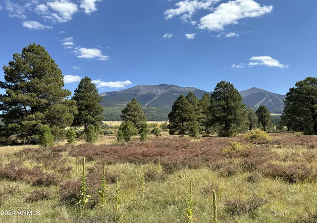 5th image of 002 Hart Prairie Rd --, Flagstaff, AZ 86001 | MLS# 7022420