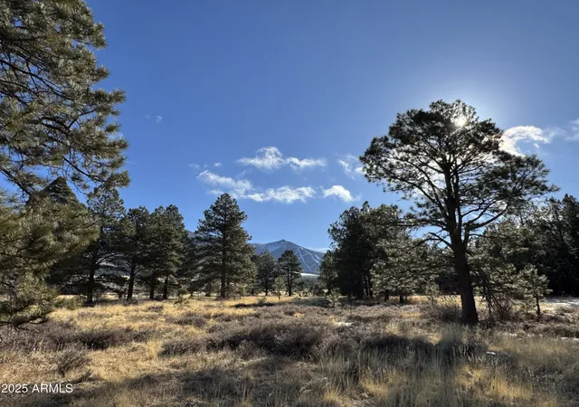 1st image of 003 Hart Prairie Rd, Flagstaff, AZ 86001 | MLS# 7022423