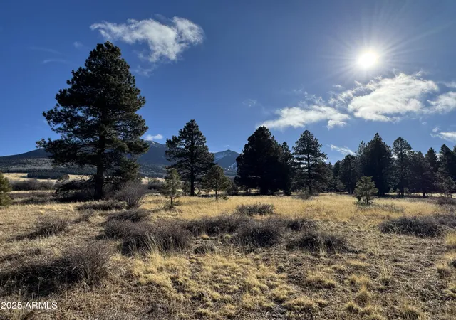 3rd image of 003 Hart Prairie Rd --, Flagstaff, AZ 86001 | MLS# 7022423