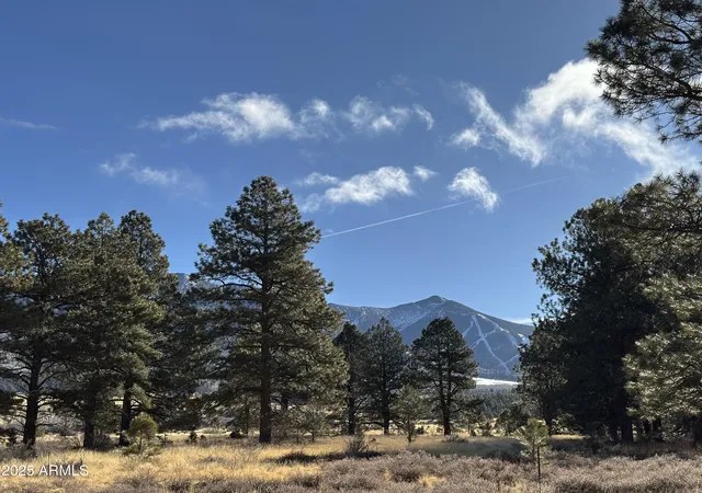 4th image of 003 Hart Prairie Rd --, Flagstaff, AZ 86001 | MLS# 7022423