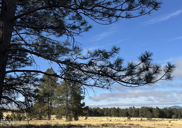 5th image of 003 Hart Prairie Rd --, Flagstaff, AZ 86001 | MLS# 7022423