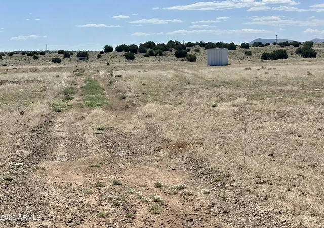 3rd image of Tbd Windsor Valley Ranch Lot 135 -- #135, Concho, AZ 85924 | MLS# 7028121