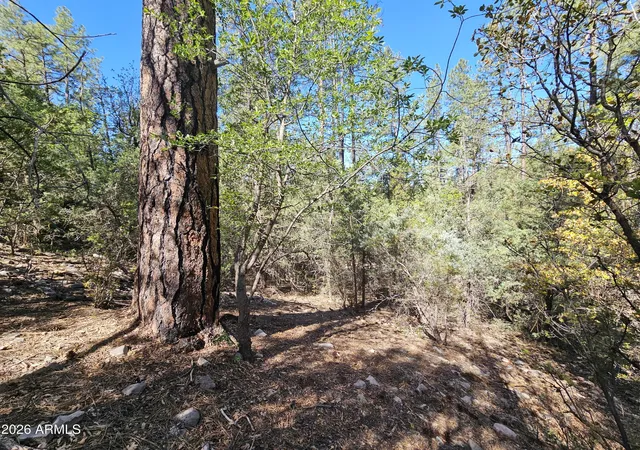 3rd image of 3054 N Neal Dr #4, Payson, AZ 85541 | MLS# 7026957