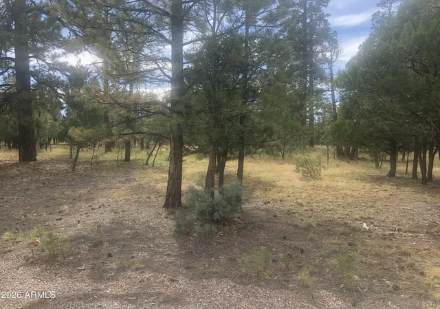 Homes for sale in Happy Jack, AZ | 4382 Jack Pine Pl #144, Happy Jack, AZ 86024 | MLS# 7024407