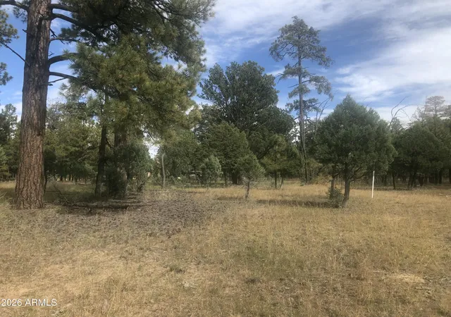 Homes for sale in Happy Jack, AZ | 4382 Jack Pine Pl #144, Happy Jack, AZ 86024 | MLS# 7024407