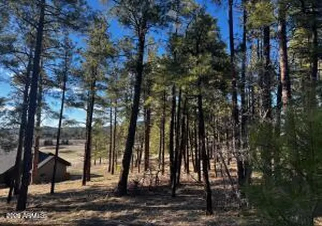 5th image of 1021 Stone Hollow Loop #2, Williams, AZ 86046 | MLS# 7024560