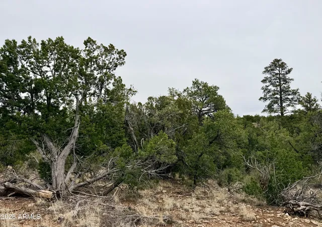 Homes for sale in Happy Jack, AZ | 4918 Sunset Ridge Loop #199, Happy Jack, AZ 86024 | MLS# 7023946