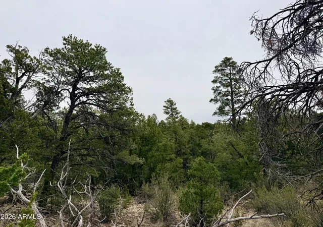Homes for sale in Happy Jack, AZ | 4918 Sunset Ridge Loop #199, Happy Jack, AZ 86024 | MLS# 7023946