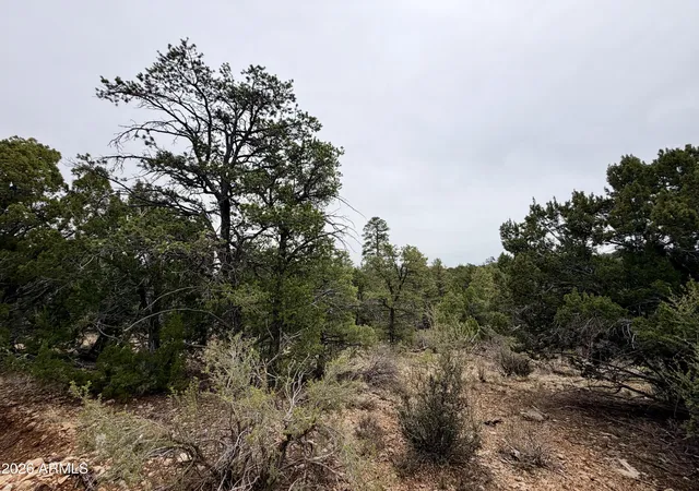 Homes for sale in Happy Jack, AZ | 4918 Sunset Ridge Loop #199, Happy Jack, AZ 86024 | MLS# 7023946