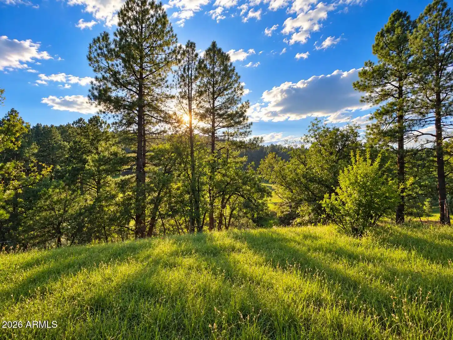 Land for sale at 1248 S Running Elk Rd, Payson, AZ 85541 | MLS# 7079676
