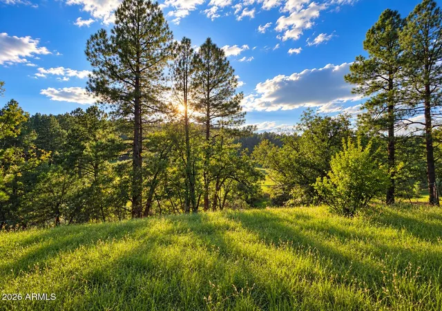 Land for sale at 1248 S Running Elk Rd, Payson, AZ 85541 | MLS# 7079676
