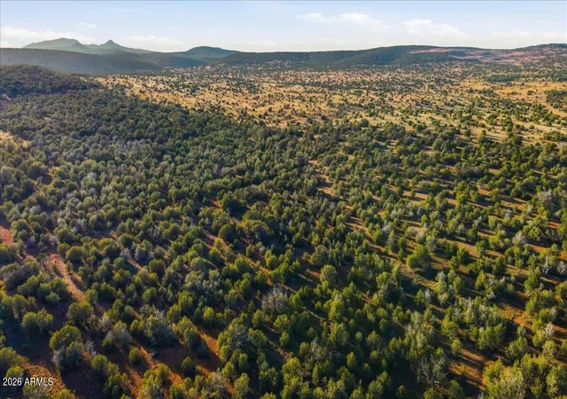 Photo 3 of Land for sale at 8602 N Ten Tanks Rd #157, Williams, AZ 86046 | MLS# 7025138 | Listing updated on 2026-06-30