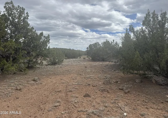 Photo 2 of Land for sale at Lot 164 Mesa Redondo #164, Concho, AZ 85924 | MLS# 7025527 | Listing updated on 2026-08-18