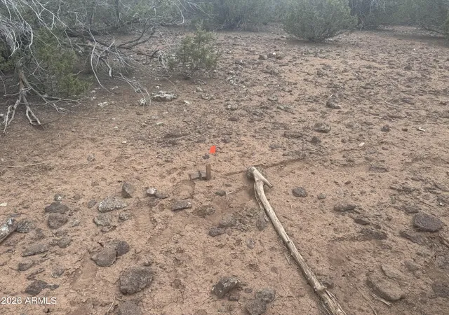 Photo 3 of Land for sale at Lot 164 Mesa Redondo #164, Concho, AZ 85924 | MLS# 7025527 | Listing updated on 2026-08-18