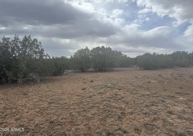 Photo 4 of Land for sale at Lot 164 Mesa Redondo #164, Concho, AZ 85924 | MLS# 7025527 | Listing updated on 2026-08-18
