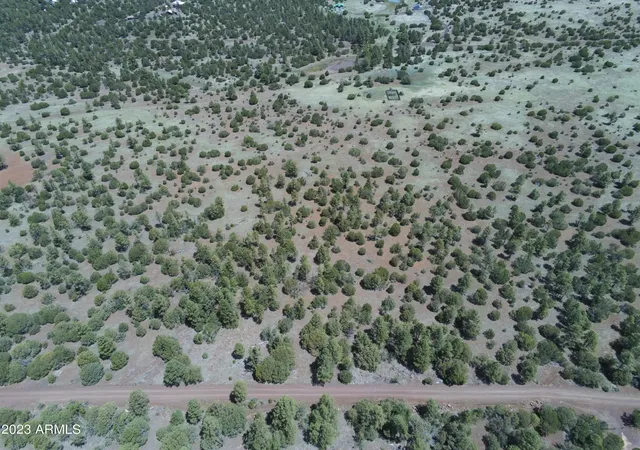 4th image of Tbd Acr N3263 Parcel 1 -- #034, Vernon, AZ 85940 | MLS# 7026413