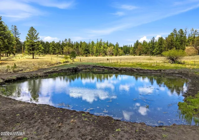 5th image of 28 County Road 2310 --, Alpine, AZ 85920 | MLS# 7026353