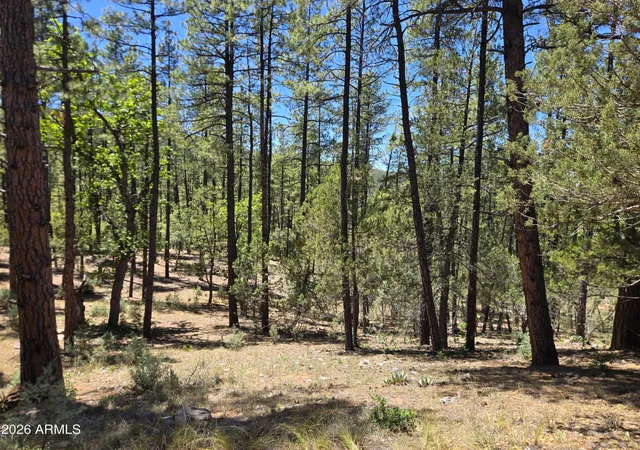 Photo 4 of Land for sale at 27 Hunter Crk Rnch Dr #27, Payson, AZ 85541 | MLS# 7026455 | Listing updated on 2026-06-01