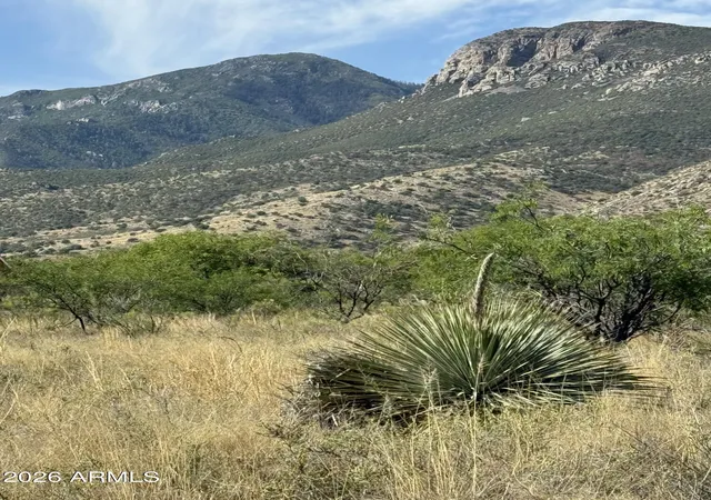 Homes for sale in Hereford, AZ | Tbd E Keeling Rd #C, Hereford, AZ 85615 | MLS# 7026619