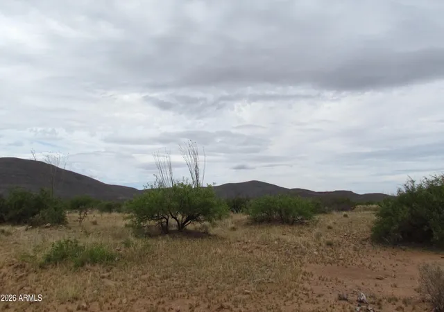Homes for sale in Tombstone, AZ | Tbd Lot 50 Mule Mountain Ranches 2 -- #50, Tombstone, AZ 85638 | MLS# 7026884