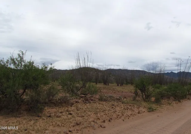 Homes for sale in Tombstone, AZ | Tbd Lot 50 Mule Mountain Ranches 2 -- #50, Tombstone, AZ 85638 | MLS# 7026884