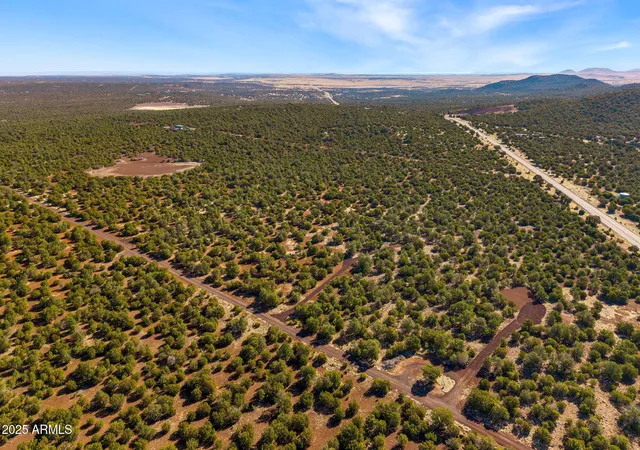 Photo 4 of Land for sale at 20 Cr N8623 #002B, Concho, AZ 85924 | MLS# 7029609 | Listing updated on 2026-05-17