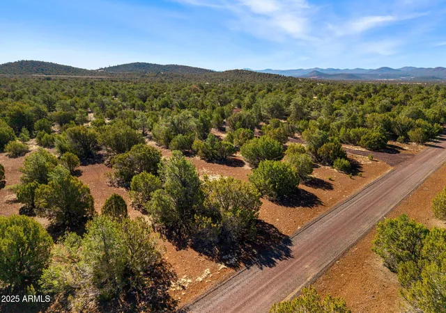 Photo 3 of Land for sale at 28 Cr N8623 #002C, Concho, AZ 85924 | MLS# 7029611 | Listing updated on 2026-05-17