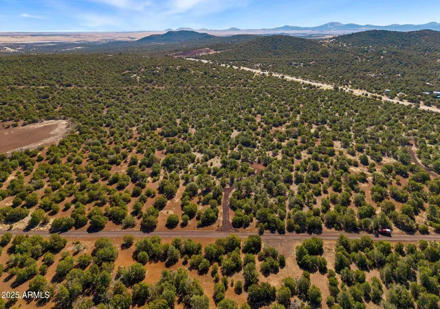 Photo 3 of Land for sale at 28 Cr N8623 #002C, Concho, AZ 85924 | MLS# 7029611 | Listing updated on 2026-05-17