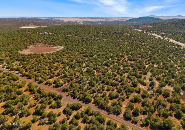 Photo 4 of Land for sale at 28 Cr N8623 #002C, Concho, AZ 85924 | MLS# 7029611 | Listing updated on 2026-05-17
