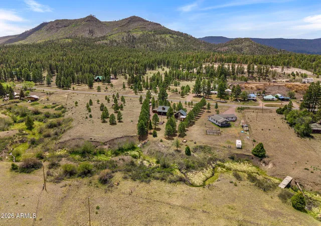 36th image of 84 County Road 2180, Nutrioso, AZ 85932 | MLS# 7028354