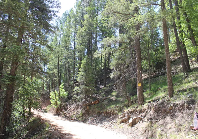 Photo 2 of Land for sale at 3500 E Sheldon Rd #1, Prescott, AZ 86303 | MLS# 7028249 | Listing updated on 2026-07-08