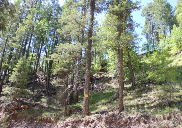 Photo 3 of Land for sale at 3500 E Sheldon Rd #1, Prescott, AZ 86303 | MLS# 7028249 | Listing updated on 2026-07-08