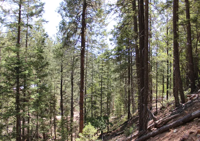 Photo 3 of Land for sale at 3500 E Sheldon Rd #1, Prescott, AZ 86303 | MLS# 7028249 | Listing updated on 2026-07-08