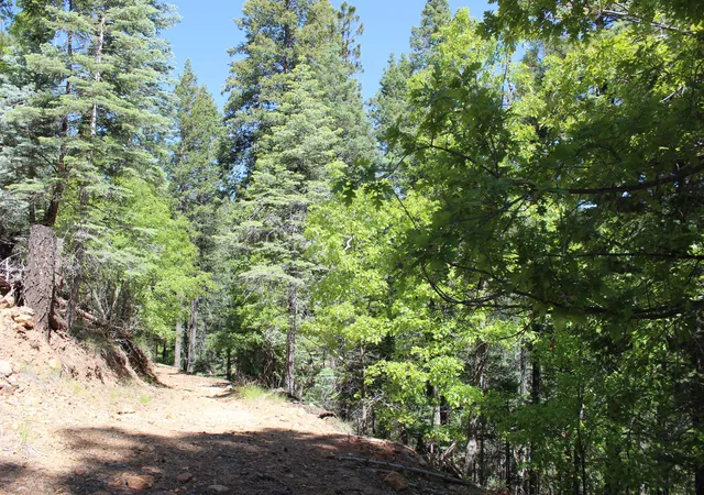 Photo 4 of Land for sale at 3500 E Sheldon Rd #1, Prescott, AZ 86303 | MLS# 7028249 | Listing updated on 2026-07-08