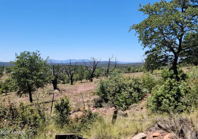 3rd image of 41 & 42 Antelope Trl #41 & 42, Payson, AZ 85541 | MLS# 7029005